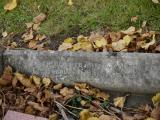 image of grave number 198896